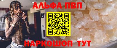 стаф Новозыбков