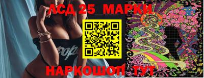стаф Новозыбков