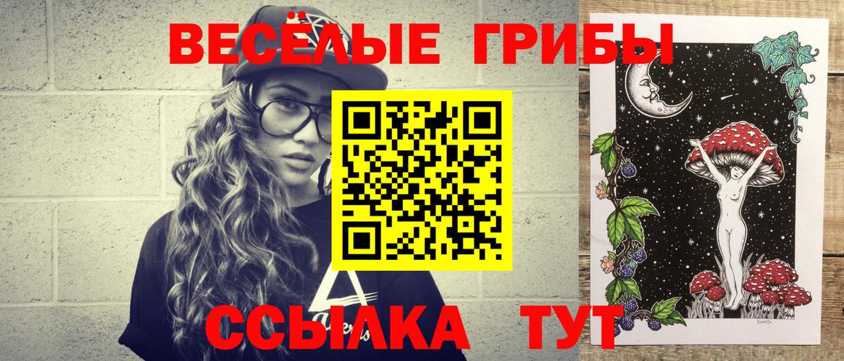 Псилоцибиновые грибы Cubensis  Вход с VPN  Сосновый Бор  Галлюциногенные грибы Psilocybine cubensis 