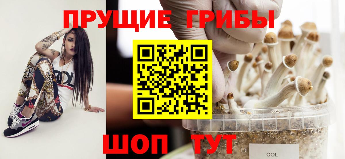 Галлюциногенные грибы мухоморы Сосновый Бор